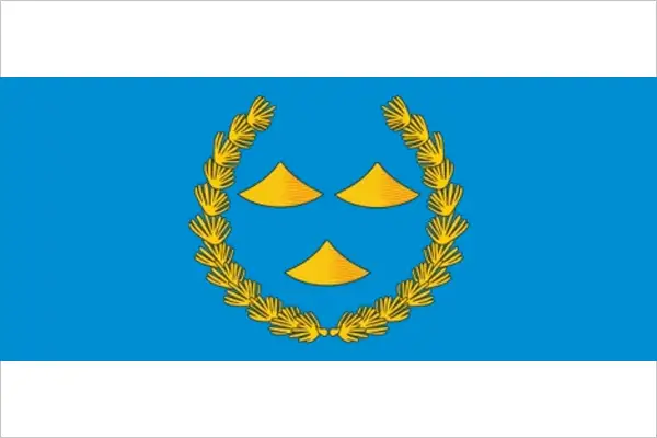 Флаг: Нижнеудинский район